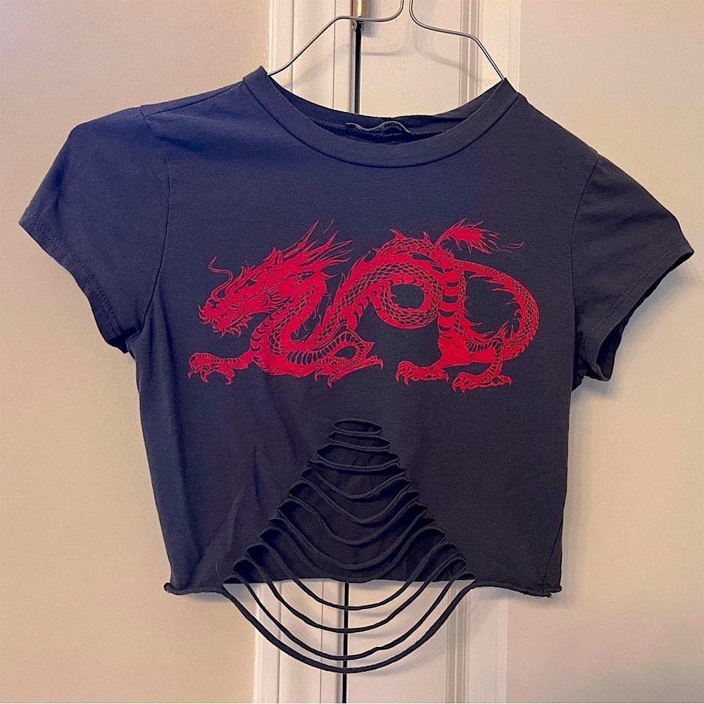 Fashion Nova Dragon Graphic Crop Top